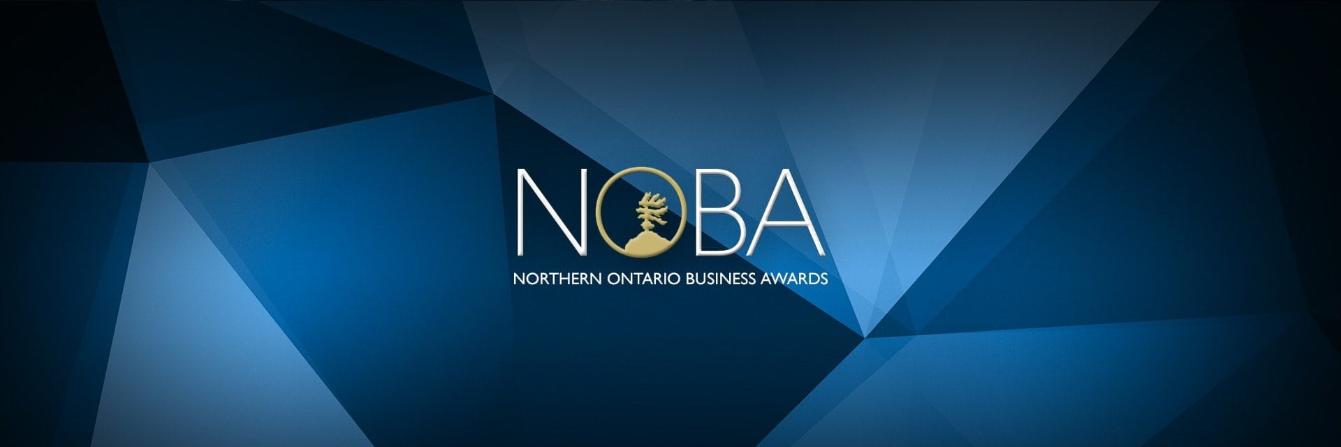 Northern Ontario Business Awards: Company of the Year 2008