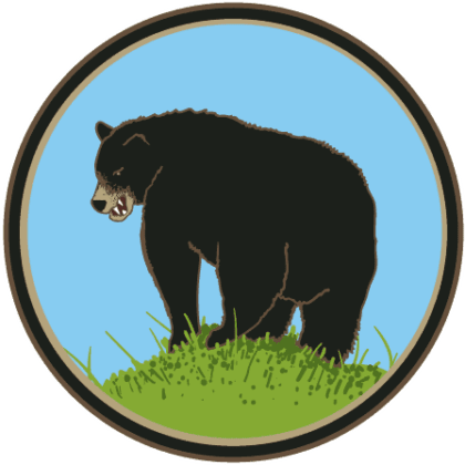 Black Bear's Butt